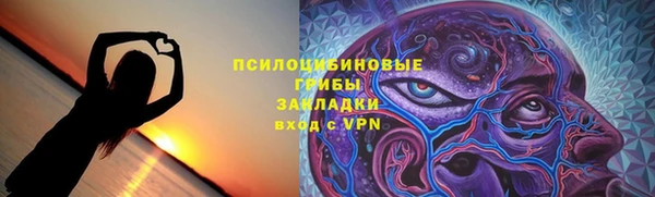 a pvp Богданович