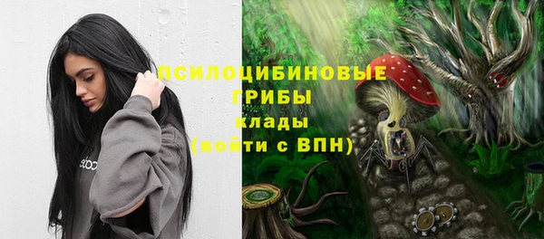 a pvp Богданович