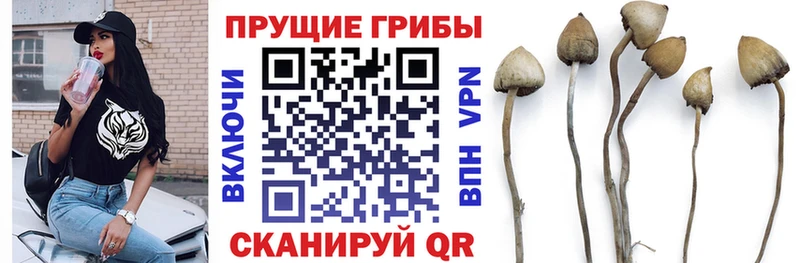 Галлюциногенные грибы мухоморы  мориарти как зайти  Белово 
